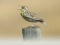 The Lark in the Clear Air 