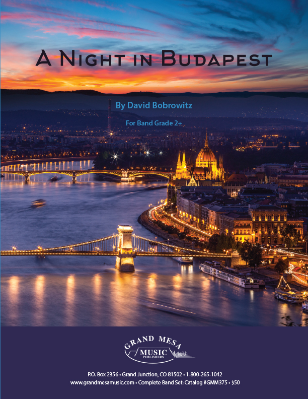 A Night in Budapest